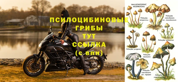 спайс Богородицк